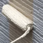 外壁